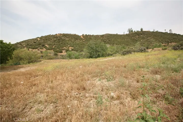 Property from Deercrest Drive looking at the top of property