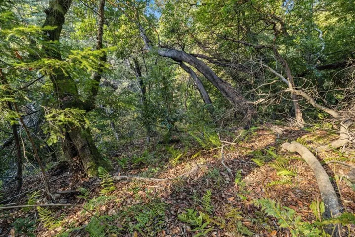 22 Highland Drive, Boulder Creek, California 95006