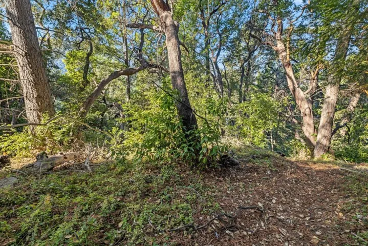 22 Highland Drive, Boulder Creek, California 95006