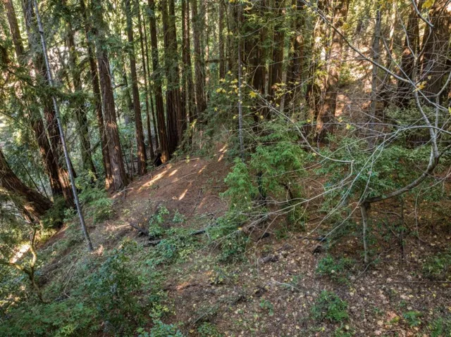22 Highland Drive, Boulder Creek, California 95006
