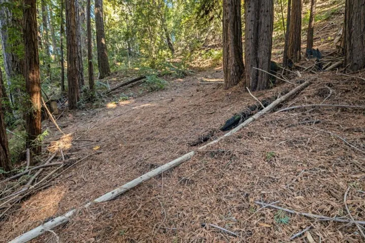 22 Highland Drive, Boulder Creek, California 95006