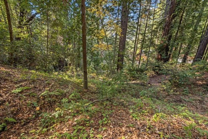22 Highland Drive, Boulder Creek, California 95006