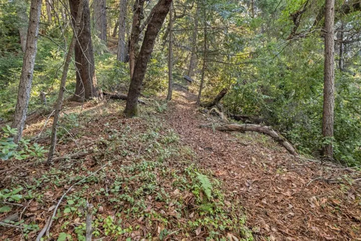 22 Highland Drive, Boulder Creek, California 95006