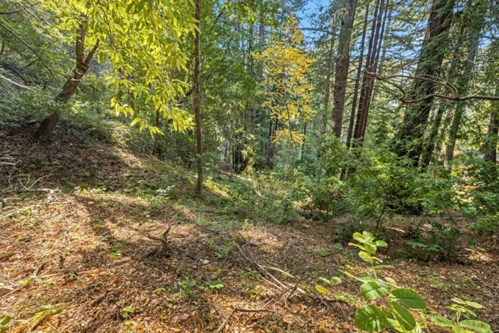 22 Highland Drive, Boulder Creek, California 95006