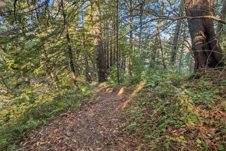 22 Highland Drive, Boulder Creek, California 95006