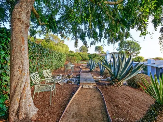 Backyard Upper Terrace