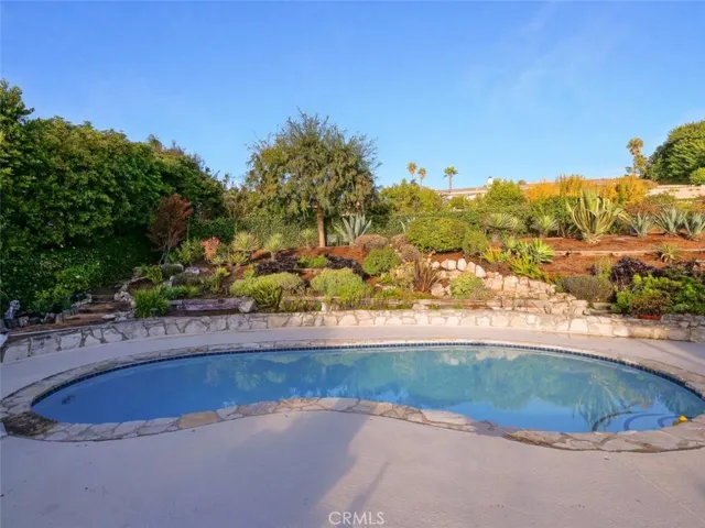Backyard Swimming Pool