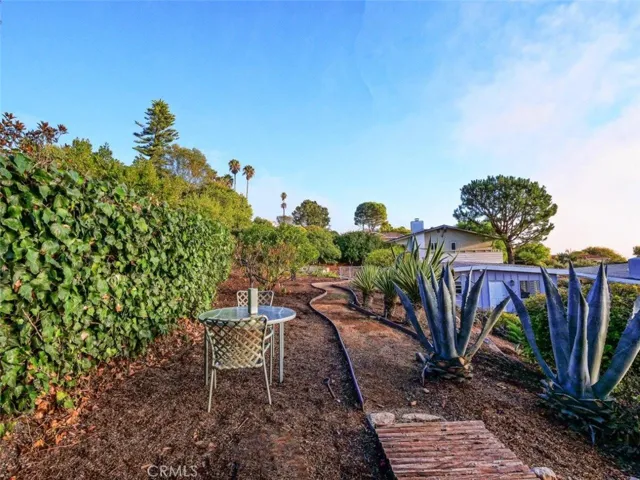 Backyard Upper Terrace