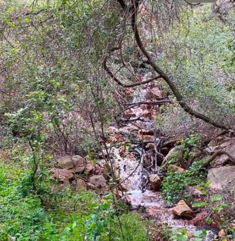 1313 Rice Canyon Rd, Fallbrook, California 92028