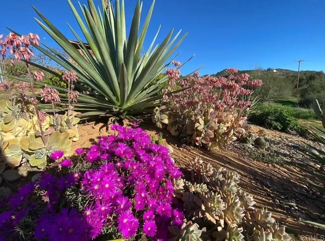 1313 Rice Canyon Rd, Fallbrook, California 92028