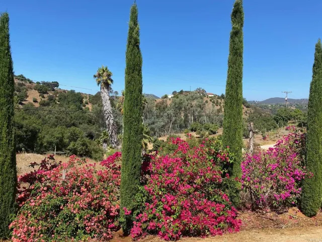 1313 Rice Canyon Rd, Fallbrook, California 92028