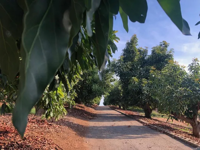 1313 Rice Canyon Rd, Fallbrook, California 92028