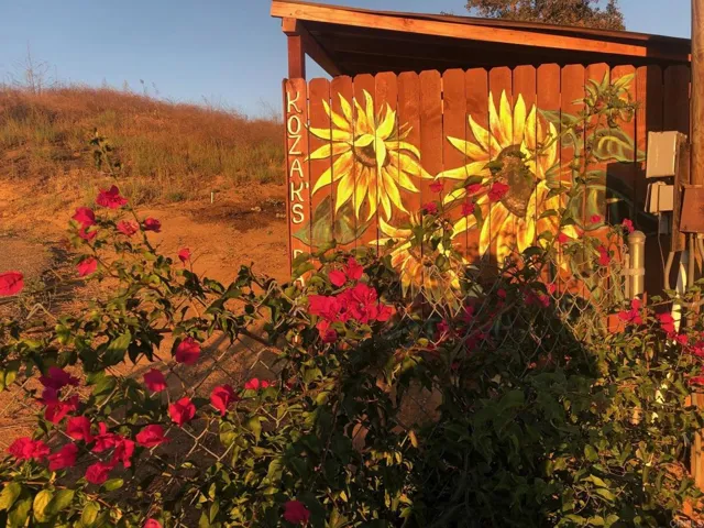 1313 Rice Canyon Rd, Fallbrook, California 92028