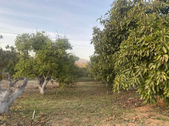 1313 Rice Canyon Rd, Fallbrook, California 92028