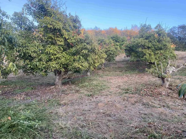 1313 Rice Canyon Rd, Fallbrook, California 92028