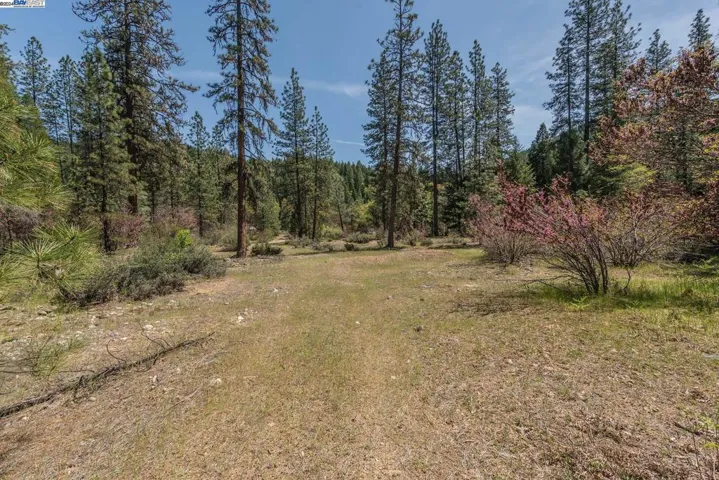 881 East Fork Road, Trinity Center, California 96091