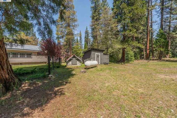 881 East Fork Road, Trinity Center, California 96091
