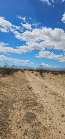 road looking east