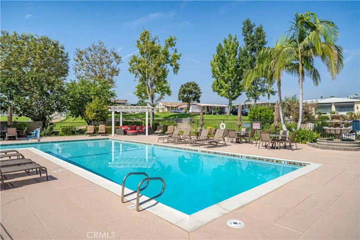 Hot summer swimming