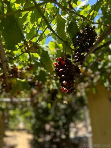 11560 Polaris Dr, San Diego, California 92126