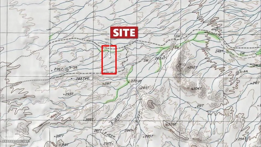 81.43 AC S I-10 & W Hwy 78, PV Topo Map