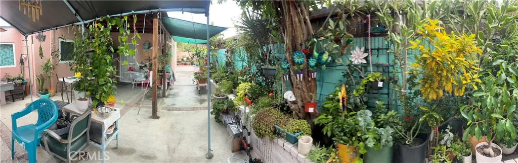Back Yard Patio