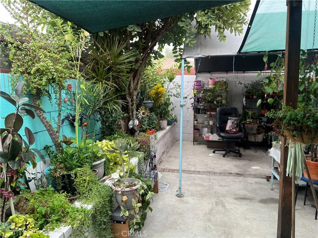 Back Yard Patio