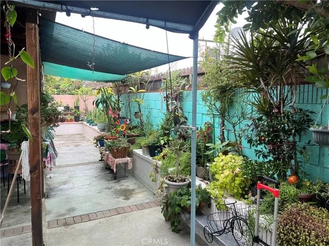 Back Yard Patio