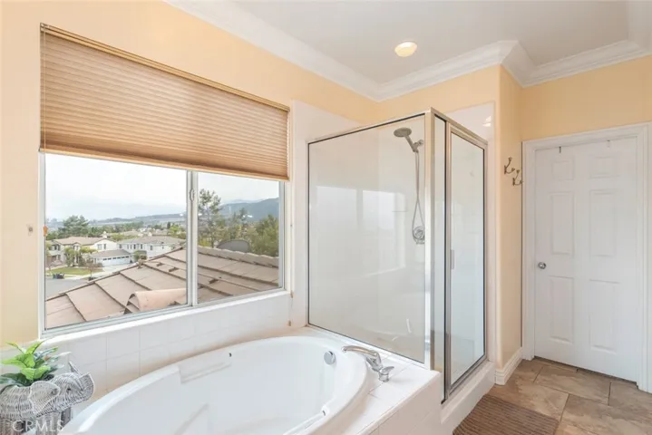 
A luxurious primary bathroom with a spacious soaking tub, a walk-in shower, and large windows offering views and natural light.