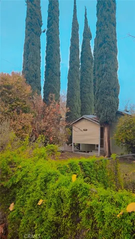 front yard