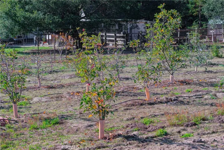 1592 Deer Canyon Road, Arroyo Grande, California 93420