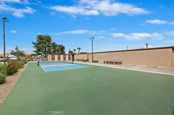 Pickle Ball