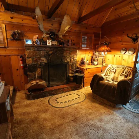 255 Pine Ln, Sugarloaf, California 92386