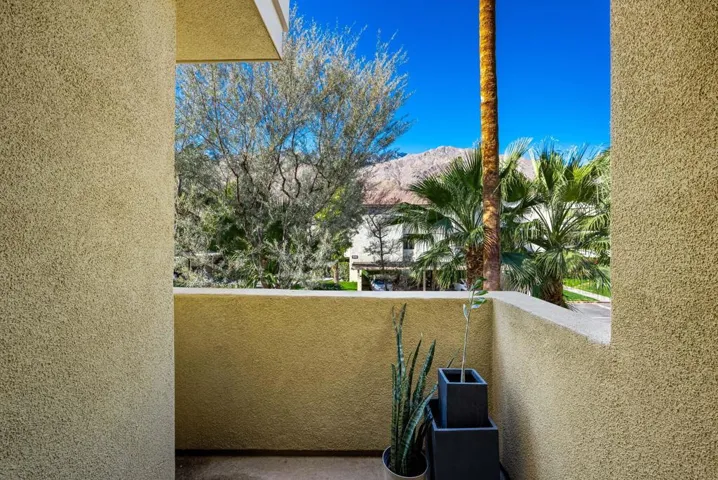 24-web-or-mls-PE_Palm_OPMG_1224_024