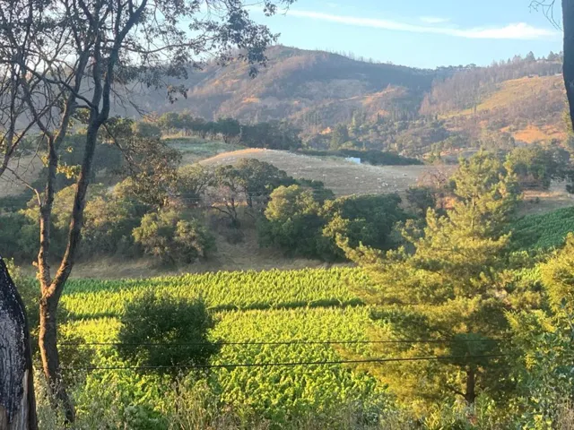 2250 Riebli Road, Santa Rosa, California 95404
