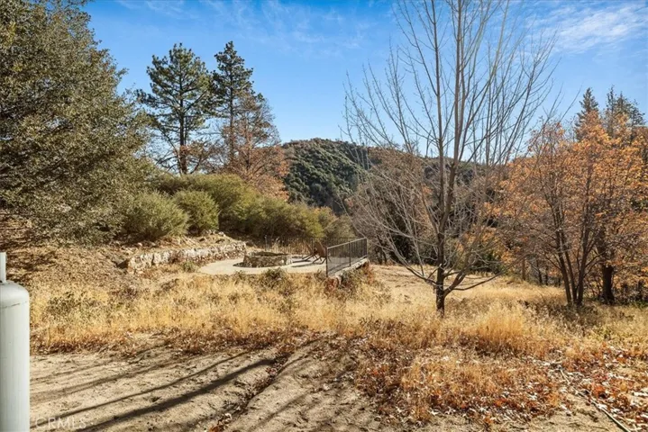 729 Eucalyptus Road, Cedar Glen, California 92321