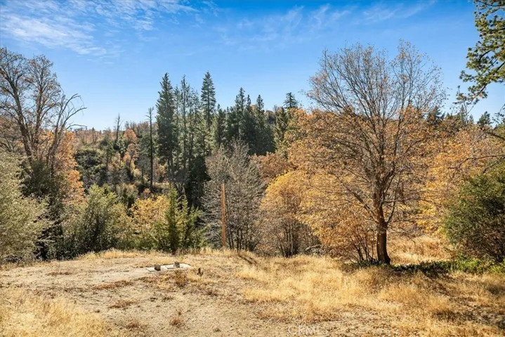 729 Eucalyptus Road, Cedar Glen, California 92321