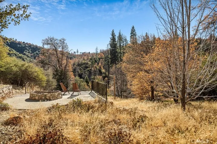 729 Eucalyptus Road, Cedar Glen, California 92321