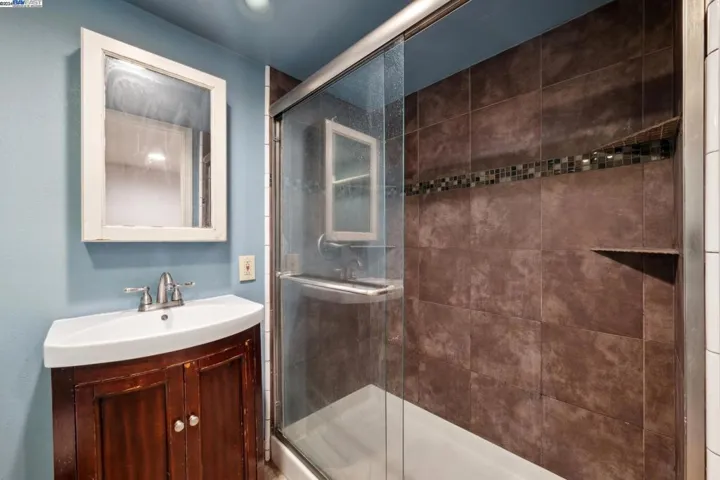 Lower Level Bathroom