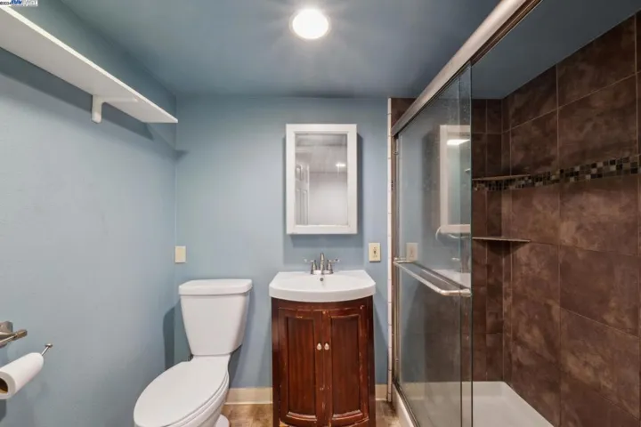 Lower Level Bathroom