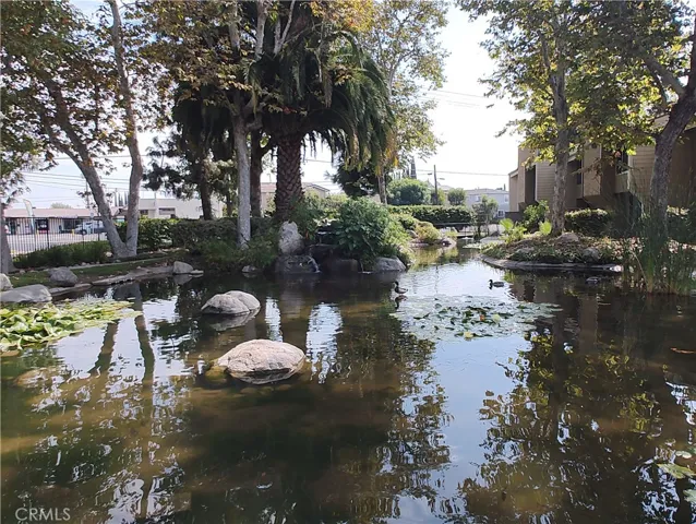 Community pond