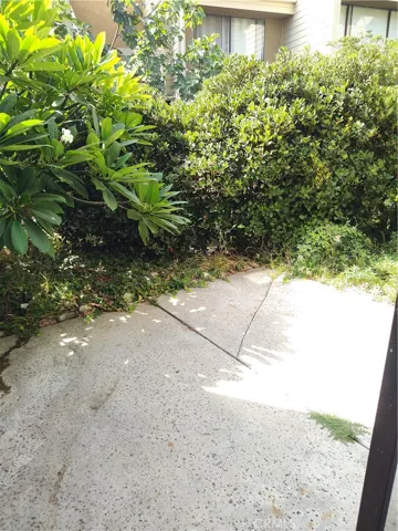 Out door back patio