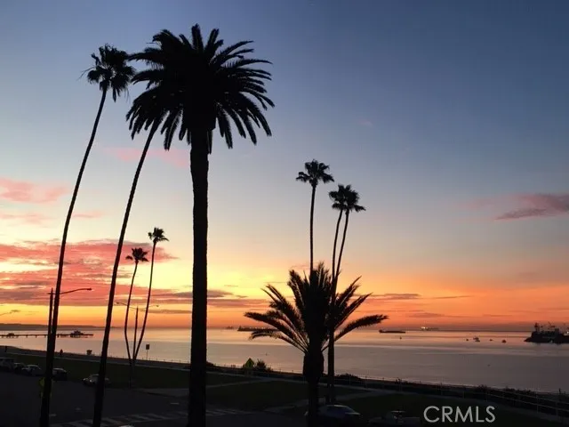 Actual Sunrise Ocean Views from The Iconic Versailles. Historic BELMONT HEIGHTS 90803 atope Bluff Park