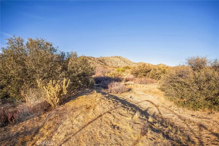 68720 Alpine Drive, Mountain Center, California 92561