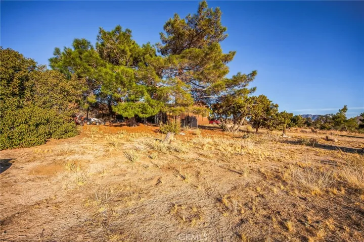 68720 Alpine Drive, Mountain Center, California 92561