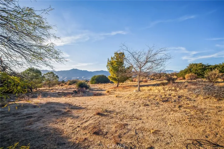 68720 Alpine Drive, Mountain Center, California 92561