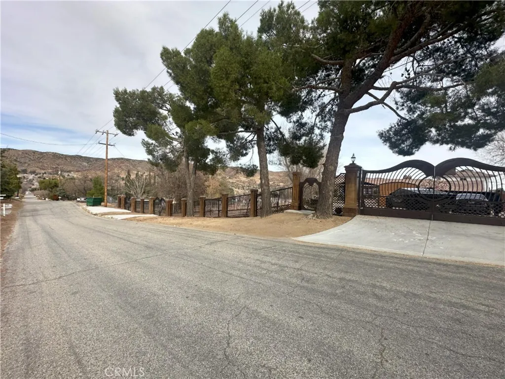 39954 90th Street W, Leona Valley, California 93551 home-pic-1