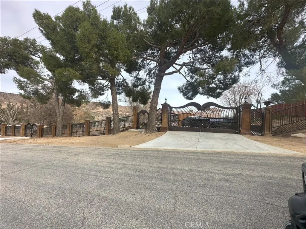 39954 90th Street W, Leona Valley, California 93551 home-pic-0