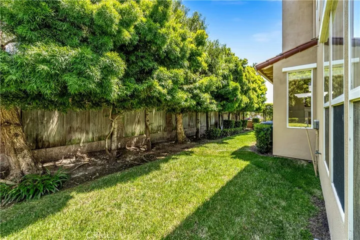 Walls of trees make the backyard private and serene.