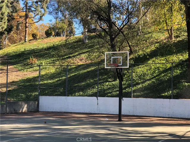 Basketball court